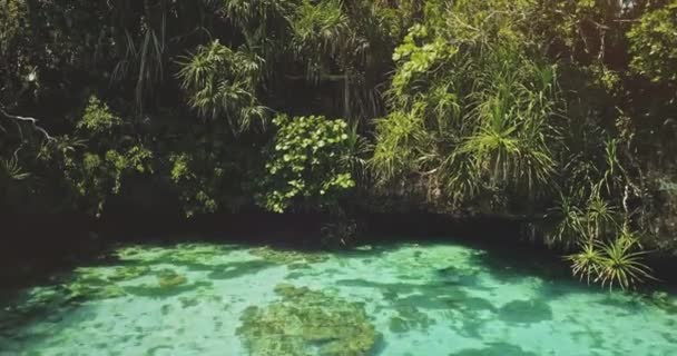Closeup τροπικά δέντρα αφήνει πάνω από σμαραγδένια λίμνη με κοράλλια της Weekuri έλξης, Sumba Island — Αρχείο Βίντεο