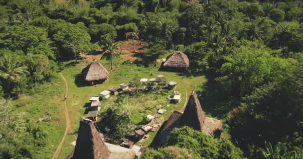Maisons traditionnelles du village indonésien au paysage tropical vert vue aérienne. Bâtiments uniques — Video