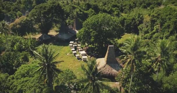 Traditioneel dorp met prachtig uitgehouwen daken huizen van het dorp aan tropische groene palmbomen — Stockvideo