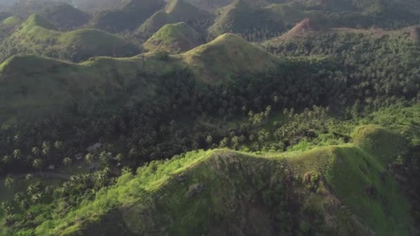 Tropical green mount aerial: rainforest ranges greenery, Legazpi, Philippines, Asia. Filipino nature — Stock Video