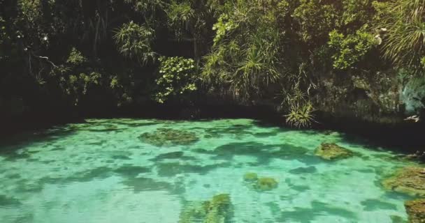 Egzotik yeşil bitkilerde tuzlu suyla kapalı bir göl. Tropik bölgede zümrüt tuzlu su manzarası — Stok video