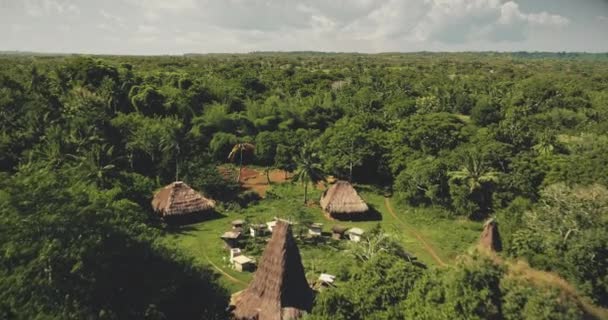 Krajobraz Indonezji z tradycyjnymi dachami domów i widokiem na stodołę zwierząt z powietrza. Las tropikalny — Wideo stockowe