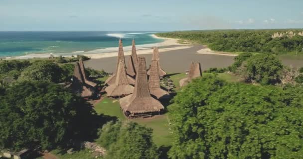Grön skog, traditionella hus by på havet sand strand antenn utsikt. Tropiskt naturlandskap — Stockvideo