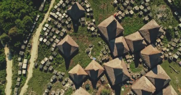 Top down van uniek dorp met stro daken huizen op groene vallei luchtfoto. Wilde tropen — Stockvideo