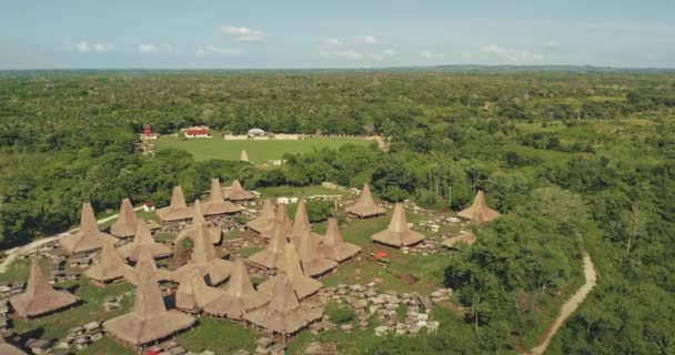 緑の熱帯林で華やかなわら屋根の家と伝統的な村のスローモーション空中ビュー — ストック動画