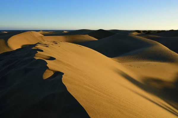 Den Mest Kända Naturliga Reserv Sanddynerna Maspalomas Som Utgör Det — Stockfoto