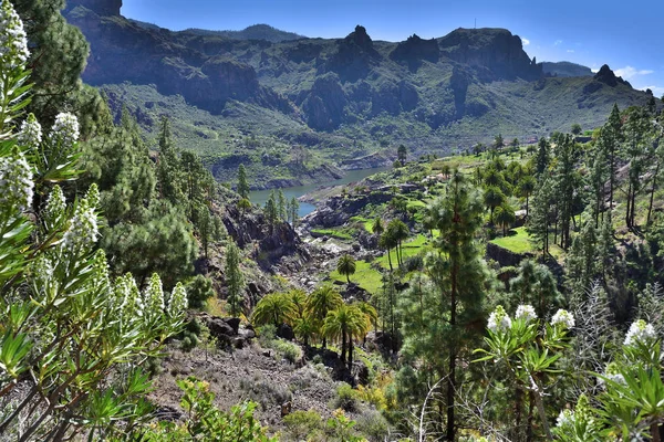 Soria Landscape Gran Canaria Island Canary Island Spain — Stock Photo, Image