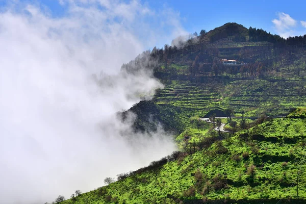 Krásná Krajina Ostrova Gran Canaria Velké Cloud Pokrývající Zelené Hory — Stock fotografie