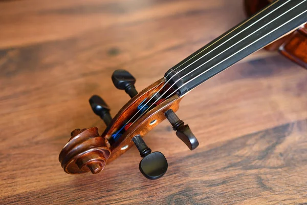 Violon Tune Chorus Tête Sur Fond Bois Rustique Profondeur Champ — Photo