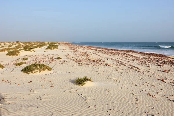 Grandes Dunas Areia Branca Praia Aomak Pôr Sol Ilha Socotra — Fotografia de Stock