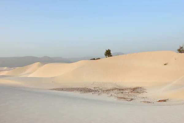 Gün Batımında Aomak Sahilinde Büyük Beyaz Kum Tepeleri Socotra Adası — Stok fotoğraf