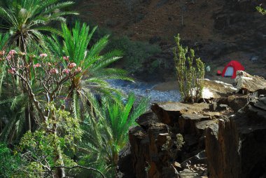 Kamp sitesi Kanyon Sokotra Adası, Yemen Wadi Dirhur (Daerhu)