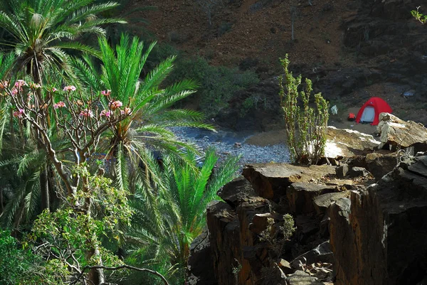 Camping Site Canyon Wadi Dirhur Daerhu Socotra Island Yemen — Stock Photo, Image