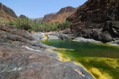 Yemen. En güzel Kanyon Sokotra Adası Wadi Dirhur üzerinde. Dağ nehir roks arasında
