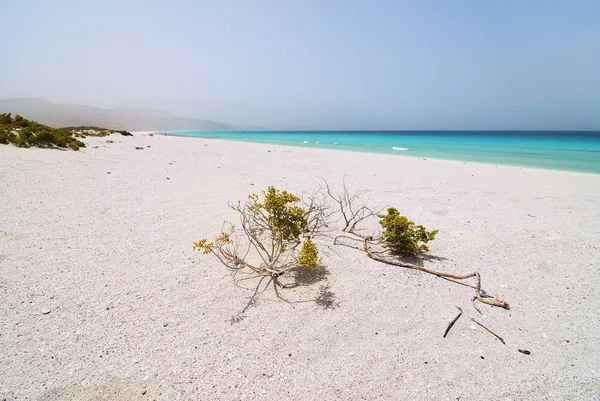 Beautiful Ras Shuab Beach Socotra Unesco World Heritage Site 2008 — Stock Photo, Image
