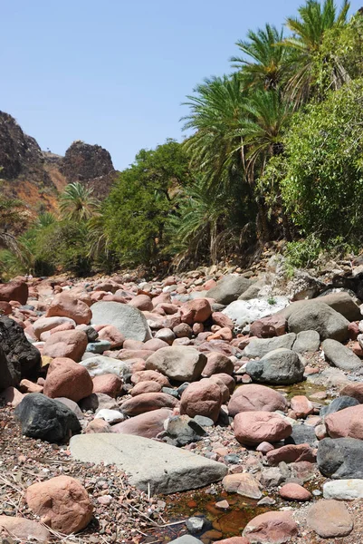 Jemen Nejkrásnější Kaňon Socotra Island Wádí Dirhur Mrtvého Říčního Koryta — Stock fotografie