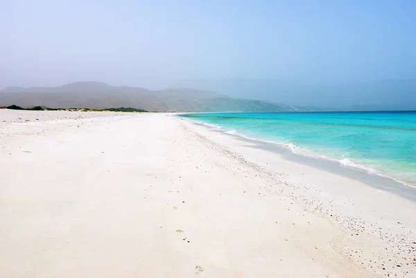 Пляж Рас Шуаб Сокотре Включенный Список Всемирного Наследия Юнеско 2008 — стоковое фото