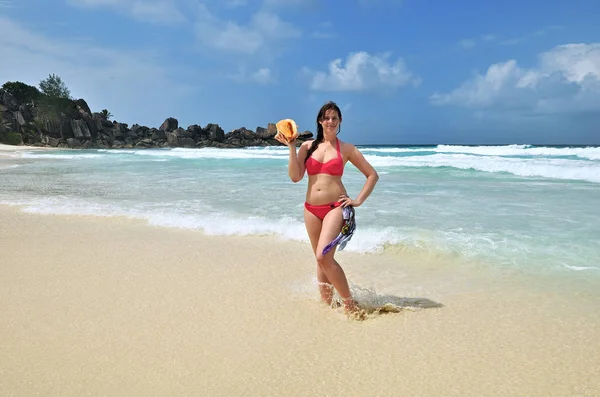 年轻的棕褐色女孩与大贝壳站在海滩上 并采取了日光浴对蔚蓝的海洋 椰子海滩 热带度假 塞舌尔 — 图库照片