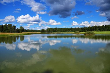 Güzel Rus yaz peyzaj göl ve yeşil alanları ve orman arka plan üzerinde