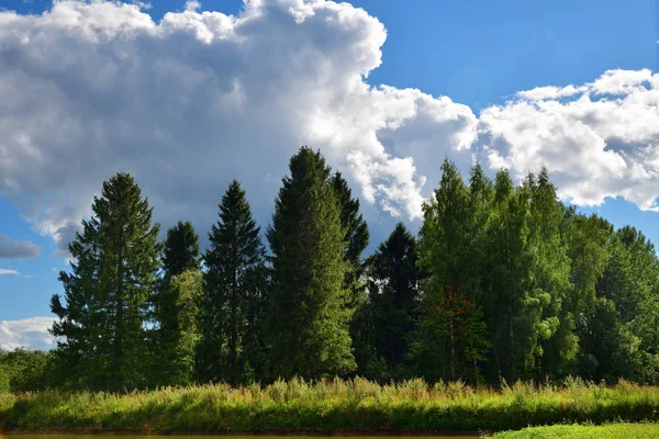 Beautiful Russian Summer Landscape Woods Cloudy Sky Background — Stock Photo, Image