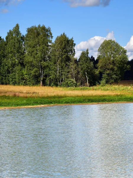 Hermoso Paisaje Verano Ruso Con Lago Bosque Fondo — Foto de Stock
