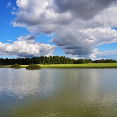 Güzel Rus yaz peyzaj göl ve yeşil alanları ve orman arka plan üzerinde