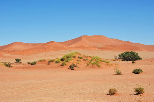 Wunderschöne Landschaft Mit Roten Dünen Bei Sonnenaufgang Sossusvlei Namib Naukluft — Stockfoto