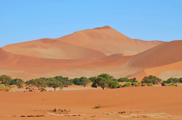 Mooi Landschap Met Rode Duinen Bij Zonsopgang Sossusvlei Namib Naukluft — Stockfoto