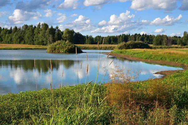 Beautiful russian summer landscape with lake and green fields and forest on background — Stock Image Beautiful Russian Summer Landscape Lake Green Fields Forest Background Stock Image