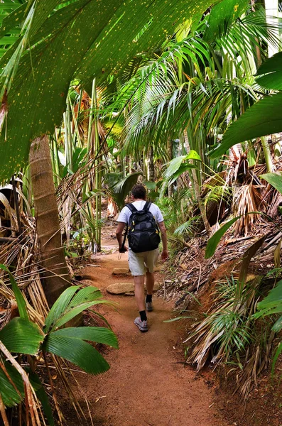 Una Selva Tropical Turista Caminando Por Sendero Selva Valle Mai — Foto de Stock