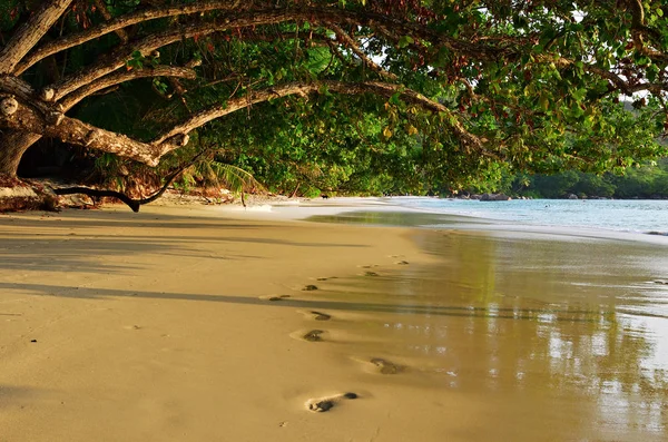 Günbatımı Güzel Kumlu Plajda Anse Lazio Seychelles Adaları Bilinen Kumsalda — Stok fotoğraf