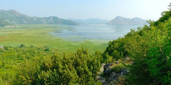 Great Lake Skadar National Park Montenegro Sunrise — Stock Photo, Image