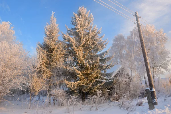 Paisaje Invernal Con Árbol Congelado Casa Madera Campo Amanecer Rusia —  Fotos de Stock