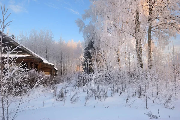 Paisagem Inverno Com Árvore Congelada Casa Madeira Campo Nascer Sol — Fotografia de Stock