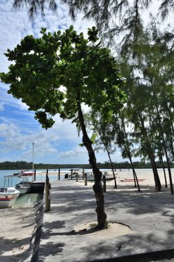 Cerf, Mauritius - 01 Mayıs 2013 ada: Dinlenme Mauritius Adası küçük bir tropikal Kuzey doğu kesiminde güzel plajları ile ünlü yer ada Cerf
