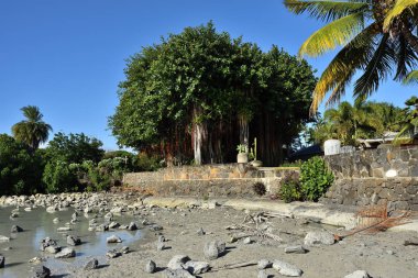 Mauritius Adası'nın kuzey kıyıları kayalık plaj