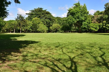 Morityus 'taki Pamplemoudit Botanik Bahçeleri. Yerel halk ve turistler arasında dinlenmek için çok popüler bir yer.