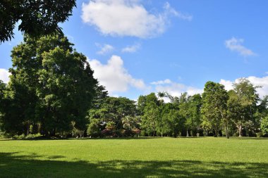 Morityus 'taki Pamplemoudit Botanik Bahçeleri. Yerel halk ve turistler arasında dinlenmek için çok popüler bir yer.