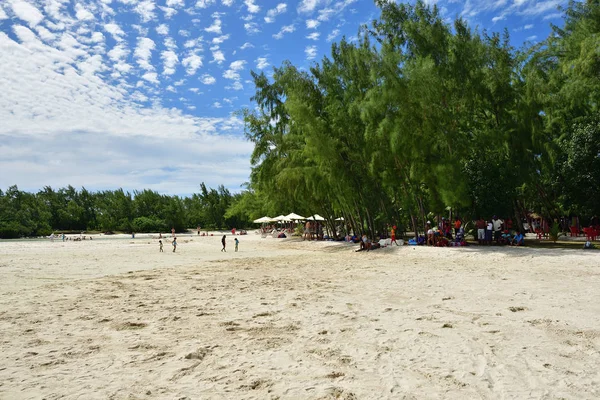 모리셔스 2013 사람들이 아리나 나무와 해변에 — 스톡 사진