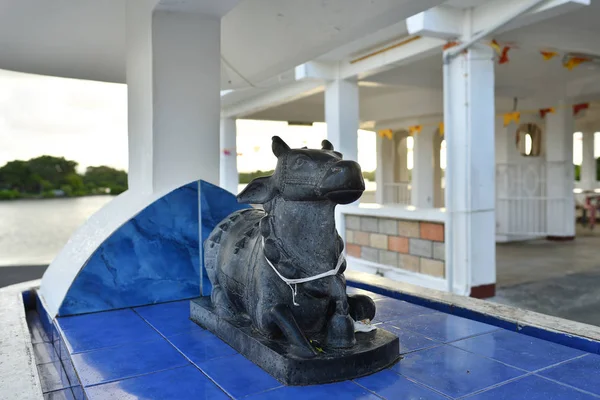 Poste Flacq Mauritius Mai 2013 Statue Der Heiligen Kuh Hinduistischen — Stockfoto