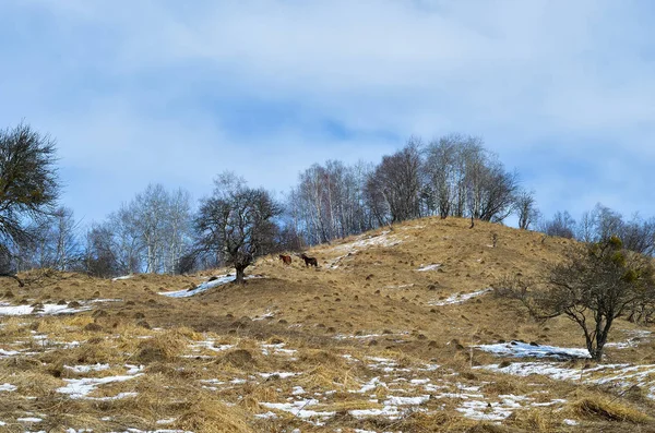 Karachay Cherkessia Russia Bellissimo Paesaggio Del Caucaso All Alba — Foto Stock