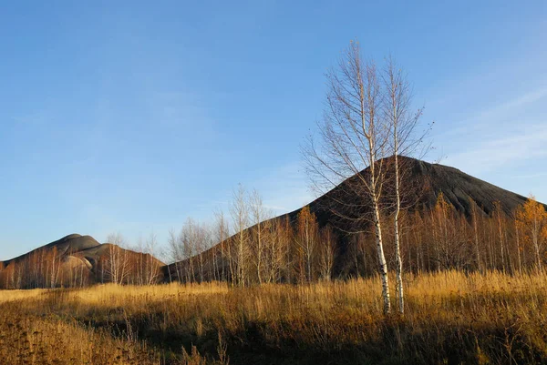 Mooie Herfst Landschap Met Gele Gras Berken Bomen Heuvels Rusland — Stockfoto