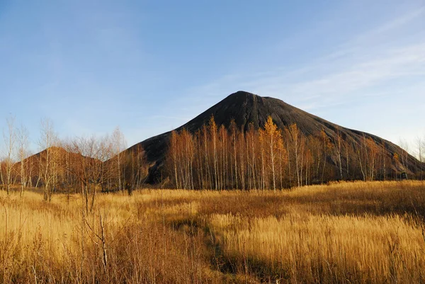 Güzel Sonbahar Sahne Sarı Çim Ile Huş Ağaçları Tepeler Rusya — Stok fotoğraf