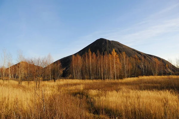 Beautiful Fall Scenery Yellow Grass Birch Trees Hills Russia — Stock Photo, Image