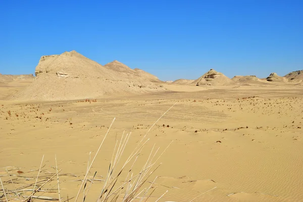 Sahara Pouštní Krajinu Západní Poušť Ain Maqfi Ain Abu Hawas — Stock fotografie