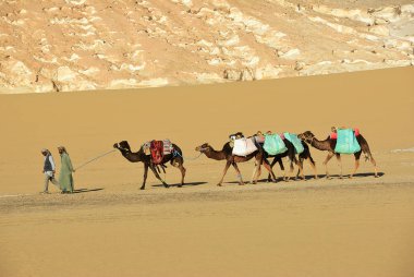 Sahara, Mısır - 26 Aralık 2008: deve kervan Sahra Çölü kuma geçmekte. Mısır, Afrika