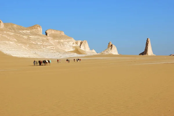 Saara Egito Dezembro 2008 Grupo Turistas Guias Locais Com Camelos — Fotografia de Stock