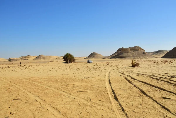 Beautiful Sahara landscape. Off-road car in the Ain el-Maqfi or Ain Abu Hawas desert. Extreme desert safari is one of the main local tourist attraction in Egypt