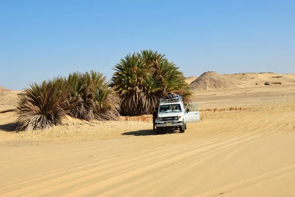 Saara Egito Dezembro 2008 Carro Road Mostrado Deserto Ain Maqfi — Fotografia de Stock