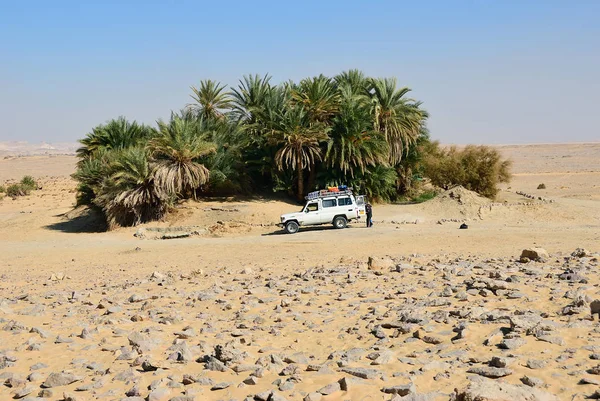 Sahara Ägypten Dezember 2008 Geländewagen Gezeigt Der Ain Khadra Oder — Stockfoto